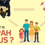 What is NIPAH Virus or NiV? Why is it called NIPAH? Symptoms | Cure