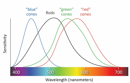Types of Cones