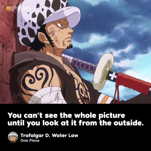 You can’t see the whole picture until you look at it from the outside. - Trafalgar D. Water Law