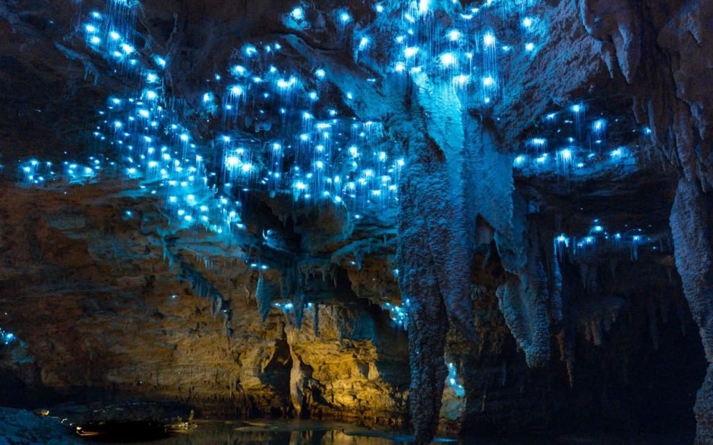 Waitomo Glowworm Caves, New Zealand - Surreal Places on Earth