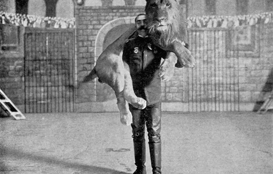 Fascinating Story of Captain Jack Bonavita: The One-Armed Lion Tamer