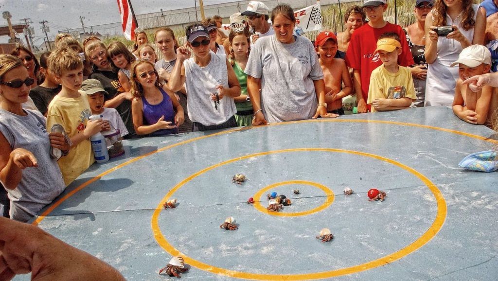 Crab Racing - Dumbest Sports