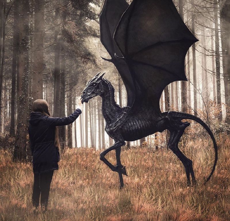 Thestral - Harry Potter Trivia Questions
