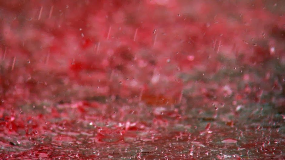 blood rain phenomenon