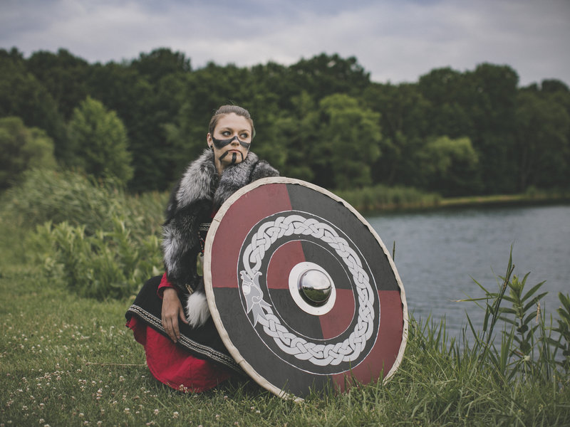 The Viking Shield