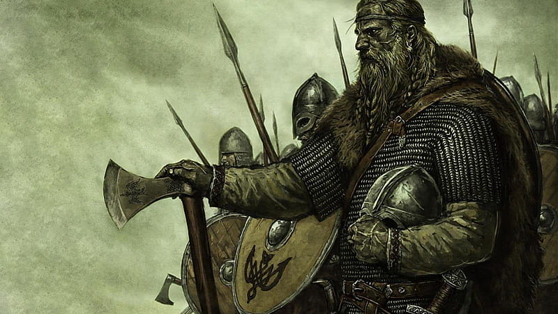Who Defeated The Vikings: Factors Leading to Decline of Vikings