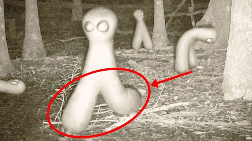 Fresno Nightcrawler: Unraveling The Mystery of California Cryptid