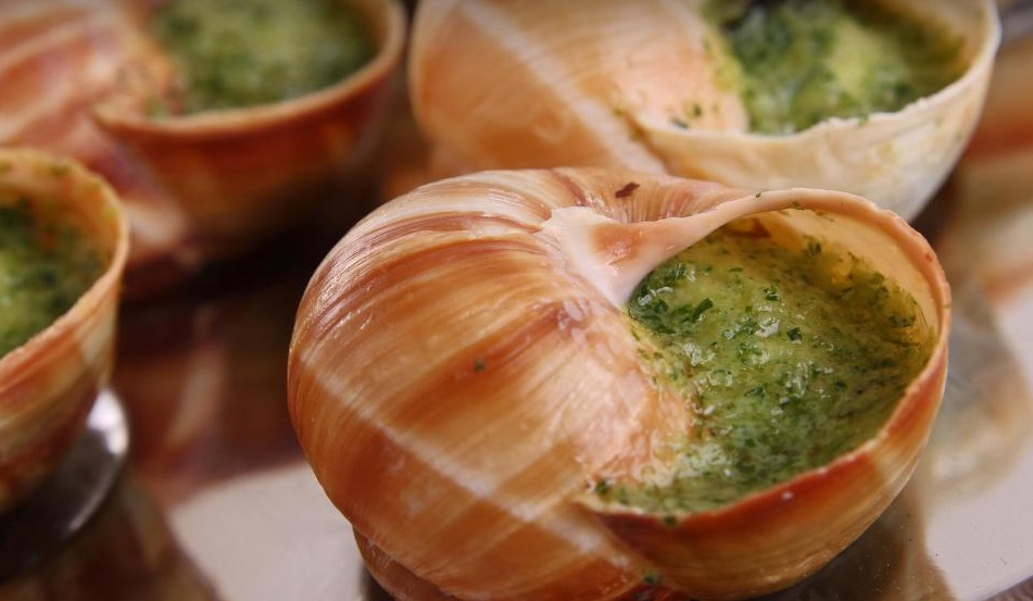Escargots de Bourgogne (France)