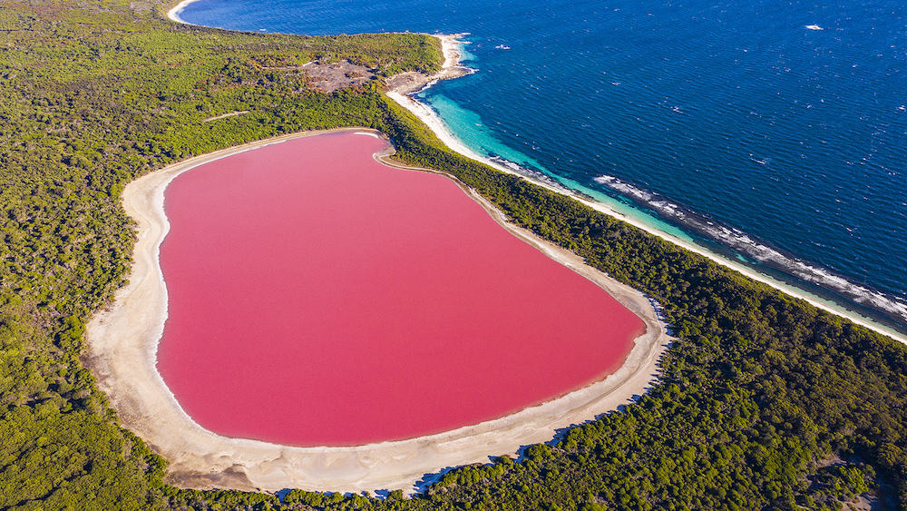 The Unique Pink Lake of Australia - Natural Wonders